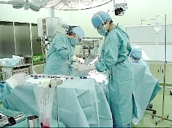 当科における造血幹細胞移植治療について